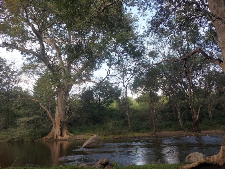 chinnar wildlife sanctuary photos